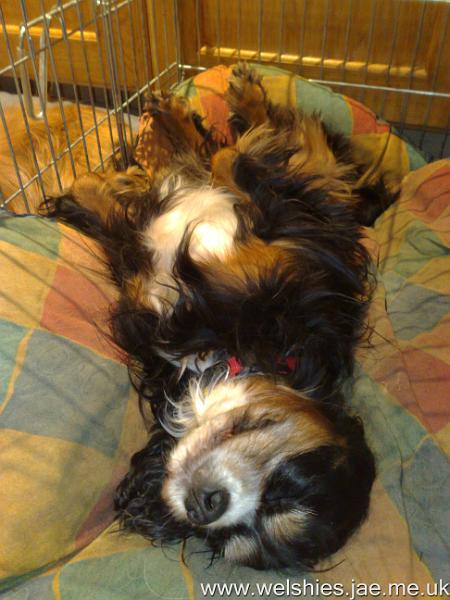 2009-11-17 01.jpg - Total Relaxation!